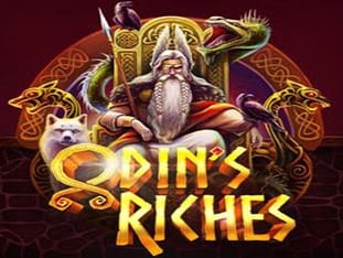 Odin's Riches icon