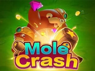 Mole Crash icon